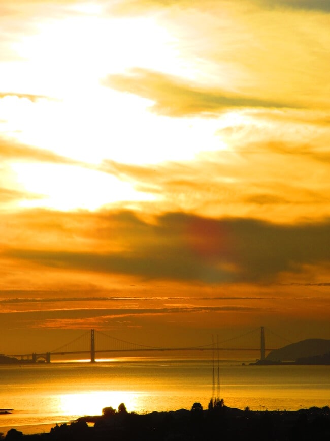 733 Balra Dr in El Cerrito, CA - Building Photo - Building Photo