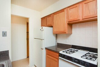 533 W Aldine in Chicago, IL - Building Photo - Building Photo