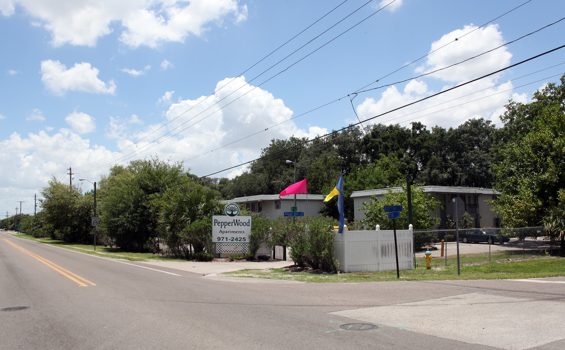 The Woodlands at North Tampa in Tampa, FL - Building Photo