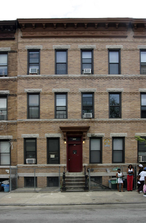 230 Moffat St in Brooklyn, NY - Foto de edificio