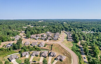 100 Quiet Pine Cir in Oxford, MS - Building Photo - Building Photo