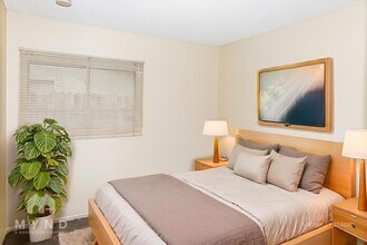 2625 Wardlow Ave in San Diego, CA - Building Photo - Building Photo