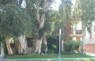 3609 Dunn Dr in Los Angeles, CA - Building Photo - Building Photo