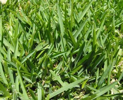 EZ Apartments in Los Angeles, CA - Building Photo