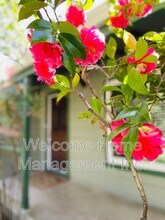 2561 Olympic Blvd in Walnut Creek, CA - Building Photo - Building Photo