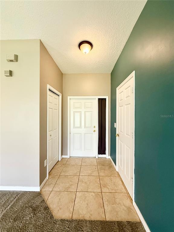 8544 Sandpiper Ridge Ave in Tampa, FL - Building Photo - Building Photo