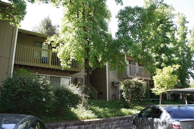 Timber Ridge Apartments in Jackson, CA - Building Photo - Building Photo