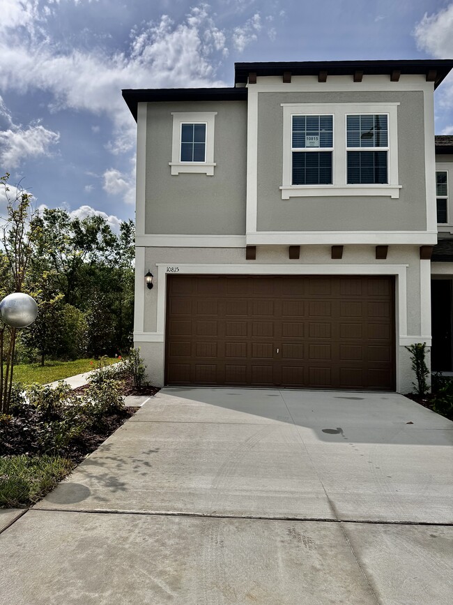 property at 10815 Fanning Spgs Ct
