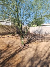 1643 E St Charles Ave in Phoenix, AZ - Building Photo - Building Photo