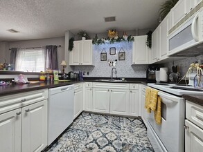 114 Fair Haven Way in Chapin, SC - Building Photo - Building Photo