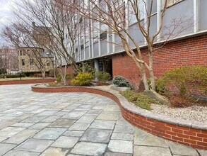 80 Park St in Brookline, MA - Building Photo - Building Photo