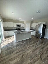 34126 Scarlet Sage Ct in Wesley Chapel, FL - Building Photo - Building Photo