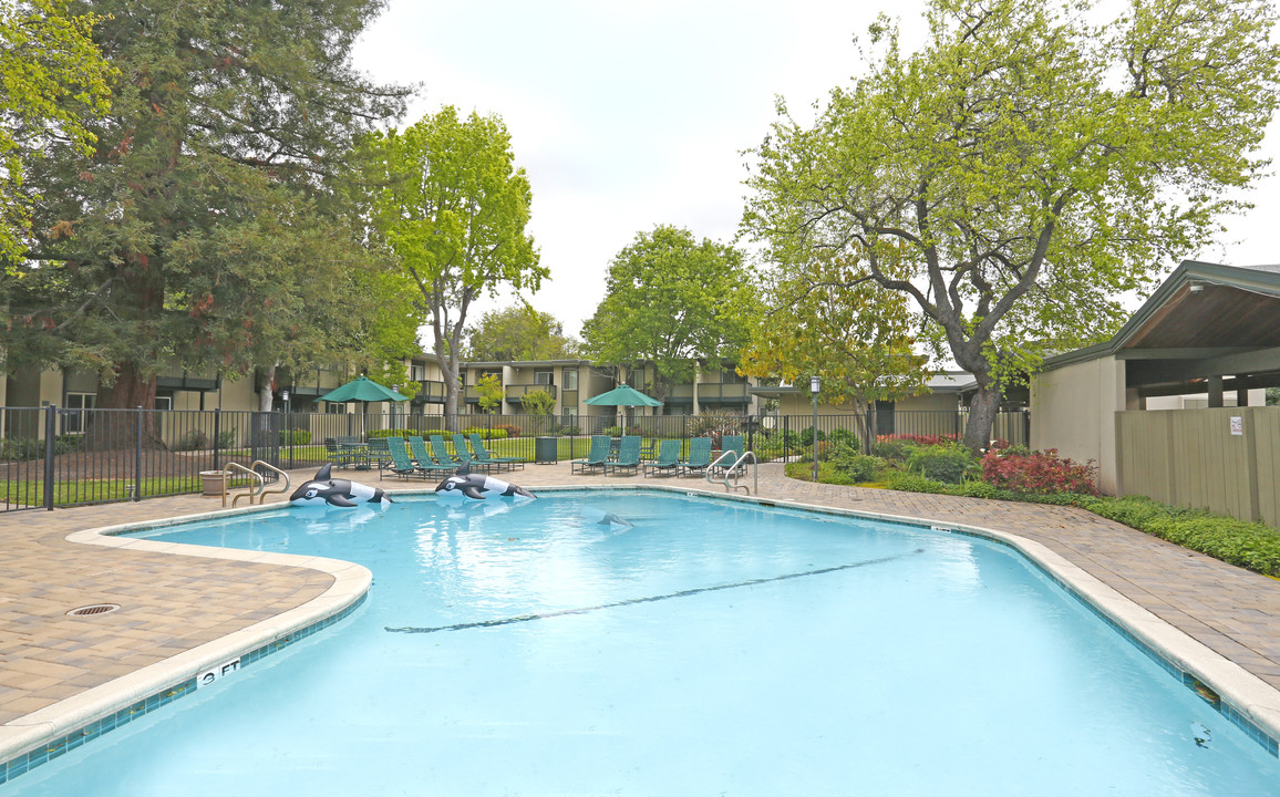 Meadowood Apartments in Mountain View, CA - Foto de edificio