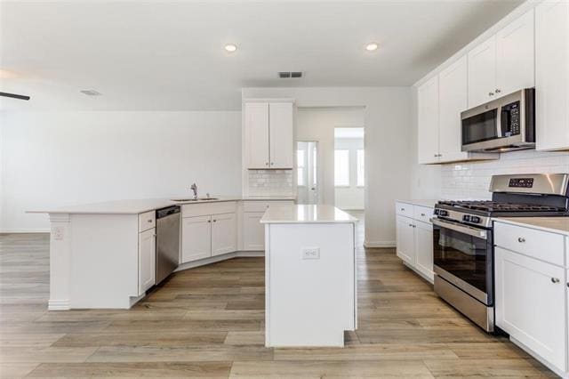 1213 Blue Spg Dr in Anna, TX - Building Photo - Building Photo