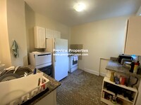 316 Saint Paul St, Unit 1 in Brookline, MA - Building Photo - Building Photo