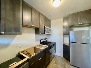 2536 W Thorndale Ave in Chicago, IL - Building Photo - Building Photo