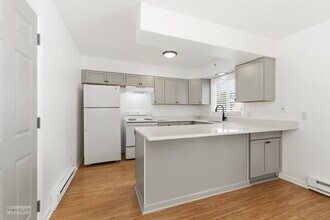 105 W Somonauk St in Yorkville, IL - Building Photo - Building Photo