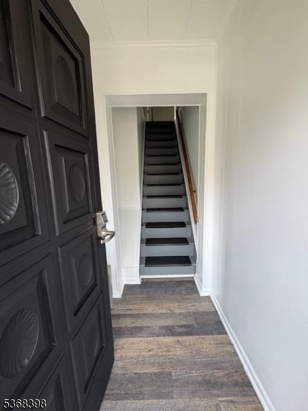 50 Martha Ave in Elmwood Park, NJ - Building Photo - Building Photo
