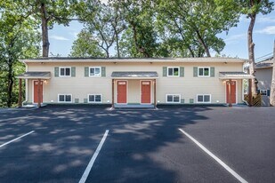 316 Chambliss St in Chattanooga, TN - Building Photo