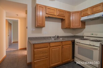 13027 Seeley Ave-Unit -1 in Blue Island, IL - Building Photo - Building Photo