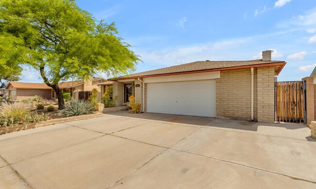 2935 S Mollera in Mesa, AZ - Building Photo - Building Photo