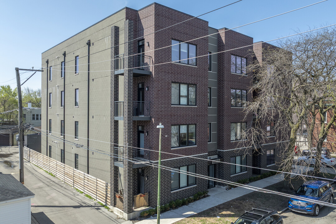 3653 W Barry Ave in Chicago, IL - Building Photo
