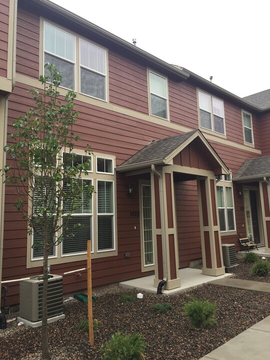 1425 Orton Way in Castle Rock, CO - Building Photo