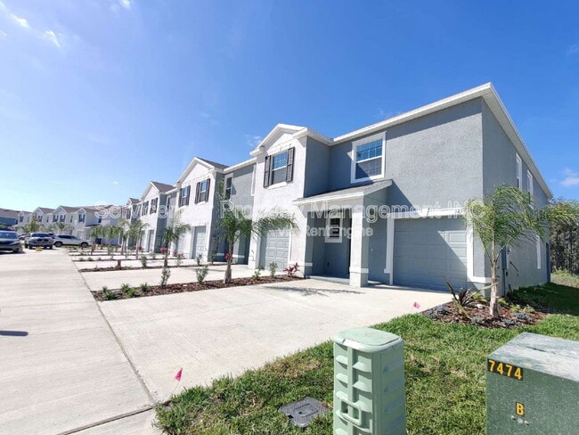 32223 Turtle Grace Lp in Wesley Chapel, FL - Foto de edificio - Building Photo
