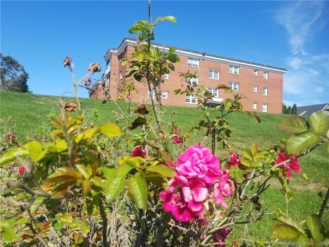 185 Melba St in Milford, CT - Building Photo - Building Photo