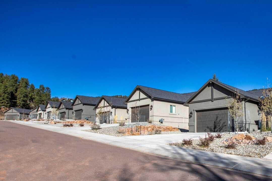 538 Brecken Ct in Woodland Park, CO - Building Photo