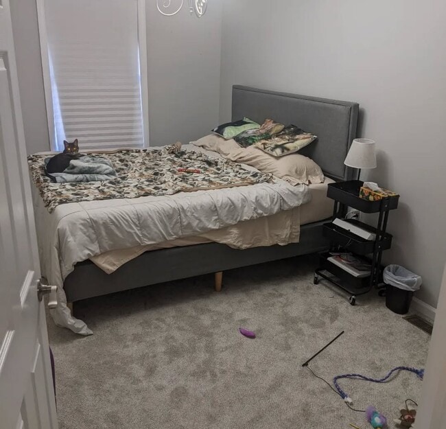 property at 803 Begonia Ct