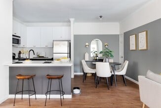 Alister Oak Hill in Austin, TX - Building Photo - Building Photo