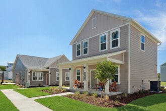 Hamlet at Avalon Park in Wesley Chapel, FL - Building Photo - Building Photo