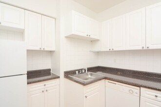 557 W Aldine Ave in Chicago, IL - Building Photo - Building Photo