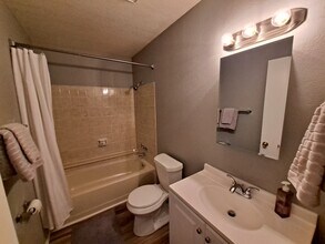 1241 Firefly Cir in Colorado Springs, CO - Building Photo - Building Photo