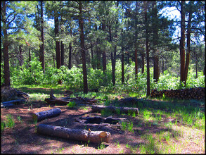 1034 Hills Cir in Pagosa Springs, CO - Building Photo - Building Photo