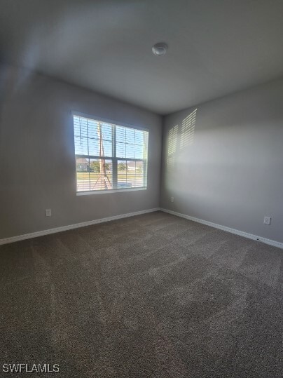 20228 Camino Torcido Lp in North Fort Myers, FL - Building Photo - Building Photo
