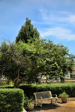 L'Esplanade in Metairie, LA - Foto de edificio - Building Photo