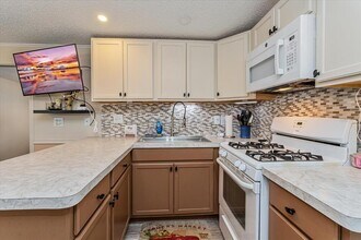 11306 Cuckoo Dr in Leesburg, FL - Building Photo - Building Photo