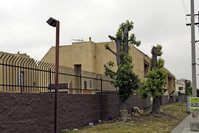 Rolland Curtis Gardens Apartments in Los Angeles, CA - Foto de edificio - Building Photo