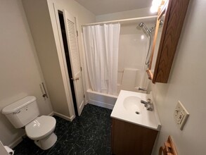 115 Main St, Unit 3 in Moravia, NY - Building Photo - Building Photo