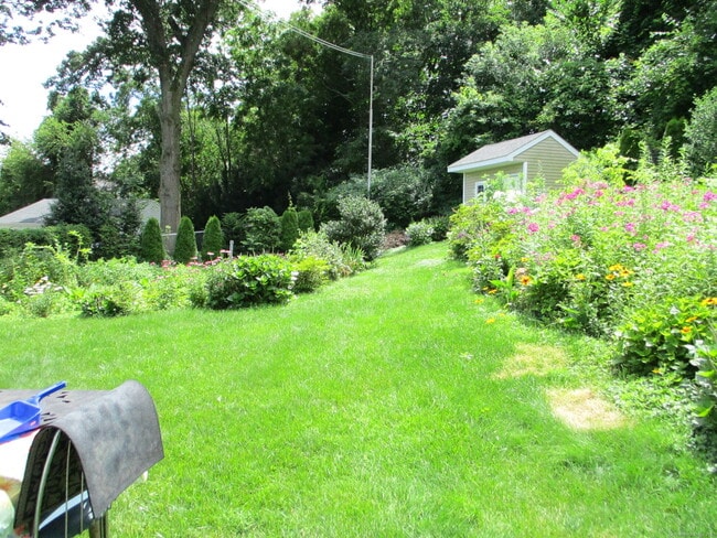 36 Cynthia Ct in New Britain, CT - Building Photo - Building Photo