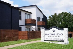 1300 E Dallas St in Mansfield, TX - Building Photo