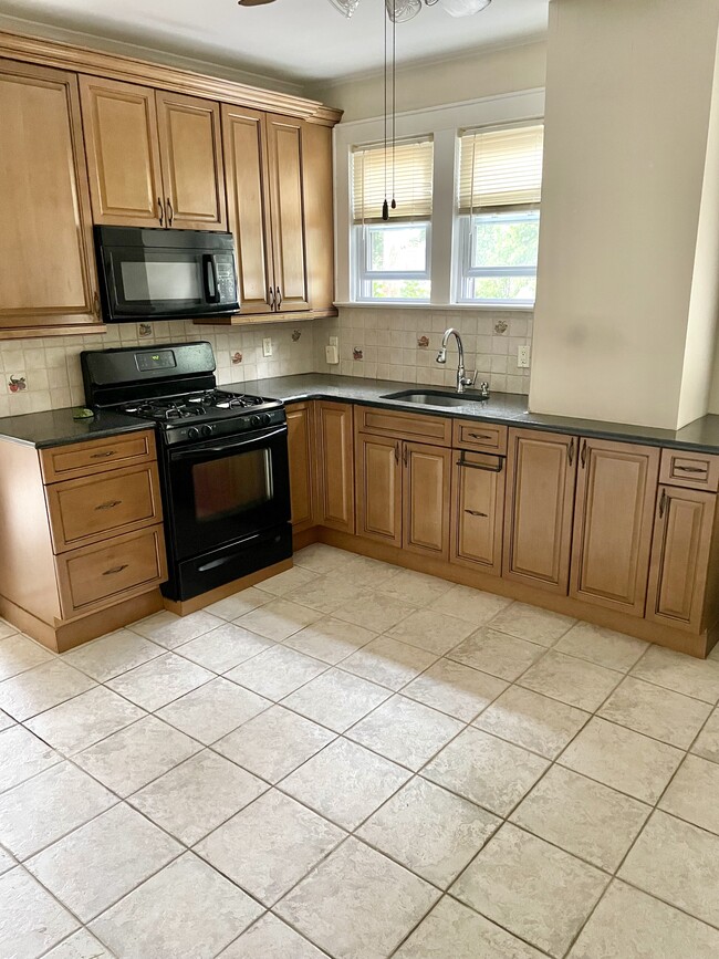 294 W Webster Ave, Unit 1