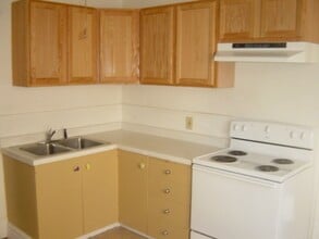 108 N 28th Ave W in Duluth, MN - Building Photo - Building Photo
