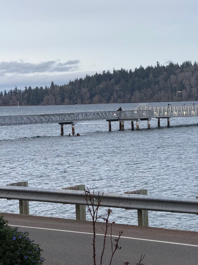 9876 SE Southworth Dr, Unit Basement Apartment in Port Orchard, WA - Foto de edificio - Building Photo