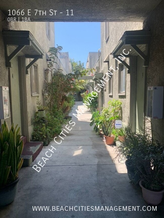property at 1066 E 7th St
