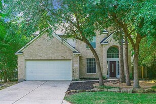 18 Beckett Hill Pl in Spring, TX - Building Photo