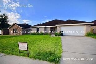 3117 Whitetail Dr in Weslaco, TX - Building Photo