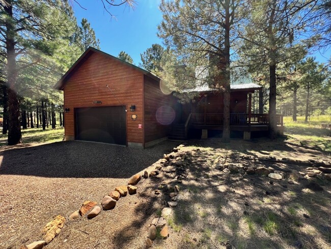 930 Rainbow Mine Rd in Forest Lakes, AZ - Building Photo - Building Photo